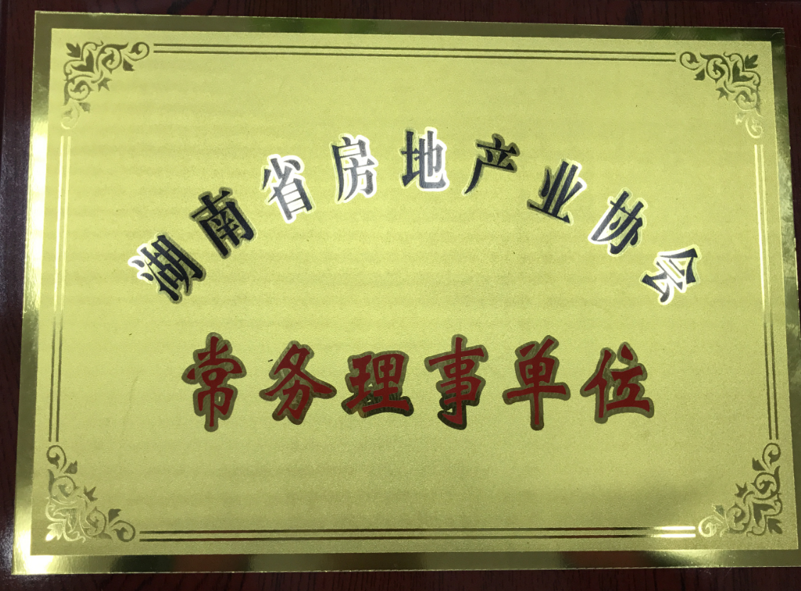 湖南房地產(chǎn)協(xié)會(huì)常務(wù)理事單位